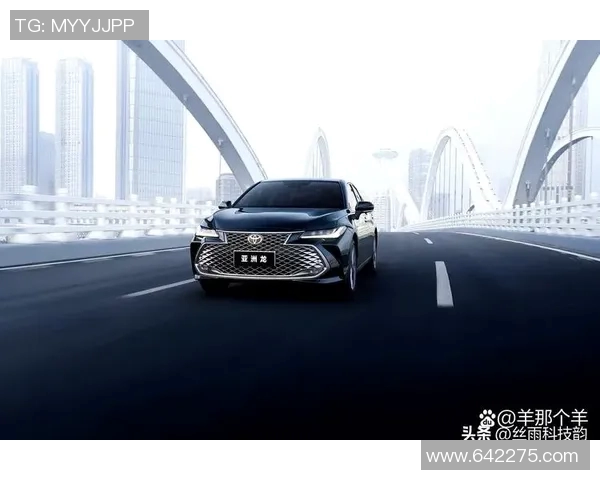 洲际杯积分榜更新武汉排球队以81分稳居榜首展现强劲实力